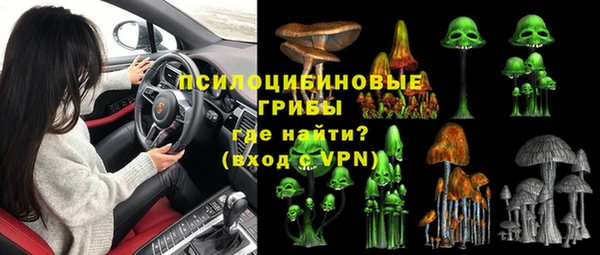 spice Абинск